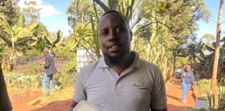 How Kenyan Youth-Led Startup Is Healing Kiambu’s Degraded Soils
