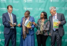 AGRA@20 Report: Africa Is Producing More. So Why Aren’t Farmers Earning More?