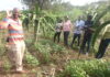 Africa’s Dragon Fruit Pioneer Urges Farmers to Embrace the Functional Fruit