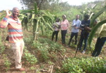 Africa’s Dragon Fruit Pioneer Urges Farmers to Embrace the Functional Fruit