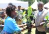 Fruit Trees, Fodder And Terraces Bring New Hope To Nzoia Farmers