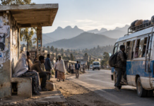 Opinion: The Ghost of Pretoria Why Ethiopia’s Long Armistice Broke Down