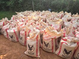 Police Seize 30 Tonnes of Suspected Counterfeit Fertiliser in Matungu, Arrest Four