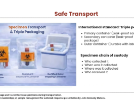 Explainer: One Tube, One Chance: How a Single Sample Decides Africa’s Ebola Response