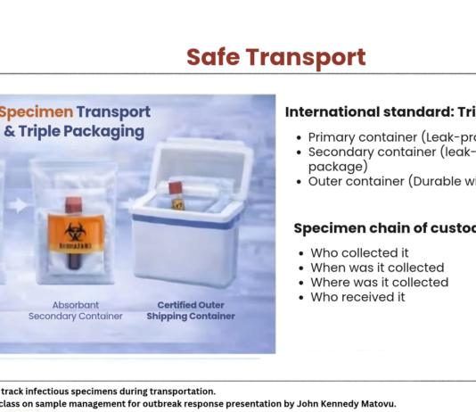 Explainer: One Tube, One Chance: How a Single Sample Decides Africa’s Ebola Response