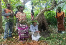 The Forest’s First People, Hunted Still: Congo’s Batwa Face A New Wave Of Terror