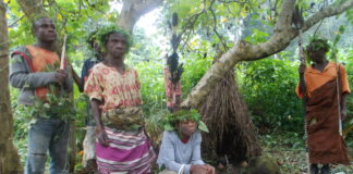 The Forest’s First People, Hunted Still: Congo’s Batwa Face A New Wave Of Terror