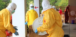 Kenya Confirms First Imported Ebola Case as Patient Dies