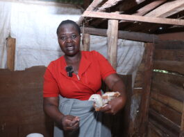 How Cooperatives Are Changing Poultry Farming in Western Kenya
